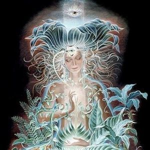 Meet your Posher, Kat